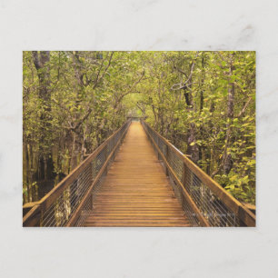 Postal Parque nacional Daintree, Patrimonio de la Humanid