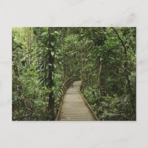 Postal Parque nacional Daintree (Patrimonio de la Humanid