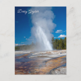 Postal Parque nacional Daisy Geyser Erupting Yellowstone