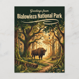 Postal Parque Nacional de Białowieża Polonia