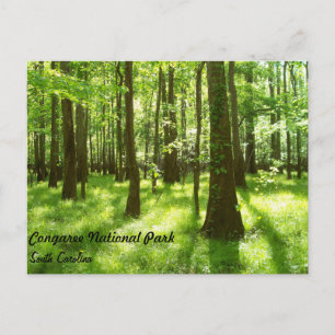 Postal - parque nacional de Congaree