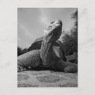 Postal Parque nacional de Ecuador, islas de las Islas