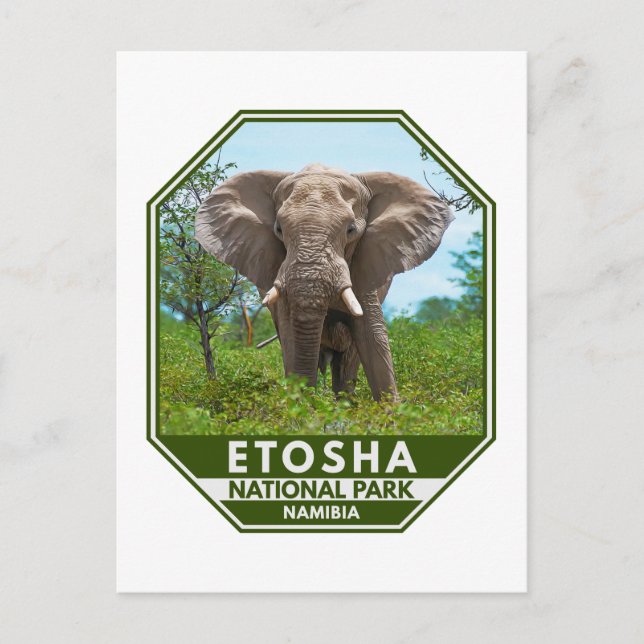 Postal Parque nacional de Etosha, Acuarela de Elefante de (Anverso)