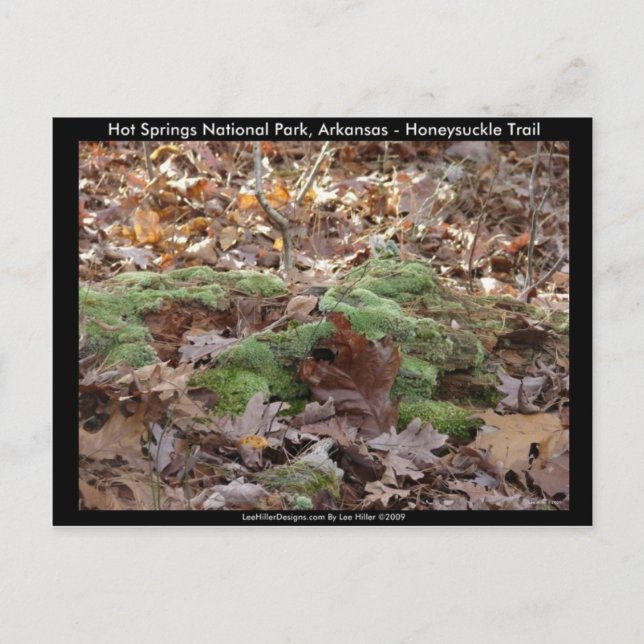 Postal Parque nacional de Hot Springs, AR - Sendero de ch (Anverso)