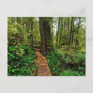 Postal Parque nacional de la Cuenca del Pacífico, en un d
