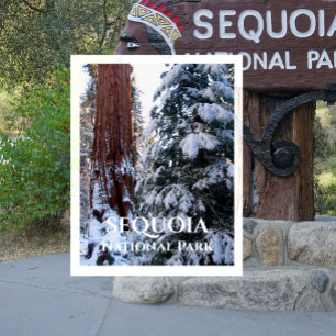 Postal Parque nacional de la secuoya de invierno de Bough