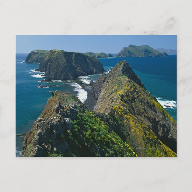 Postal Parque nacional de las Islas del Canal, Sur (Anverso)