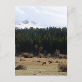 Postal Parque nacional de las Montañas Rocosas