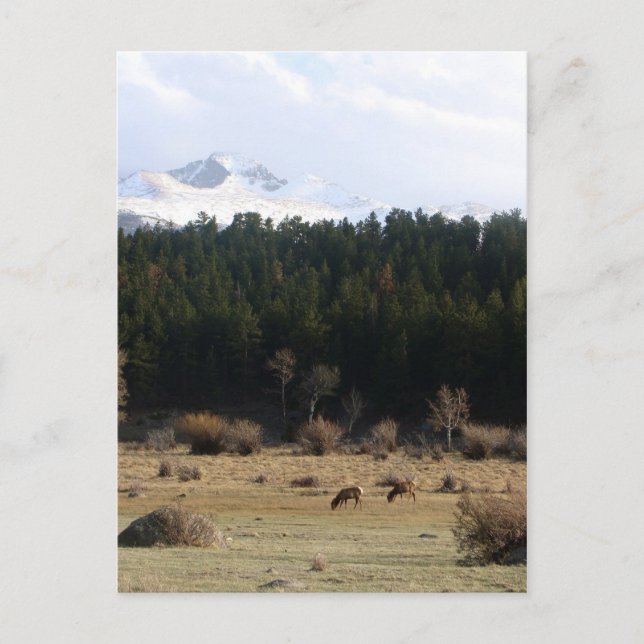 Postal Parque nacional de las Montañas Rocosas (Anverso)