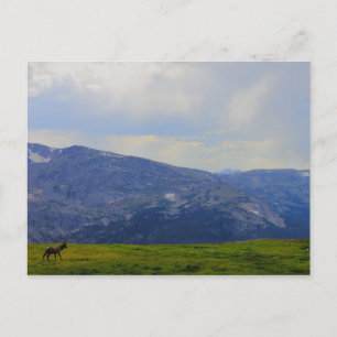 Postal Parque nacional de las Montañas Rocosas, Colorado