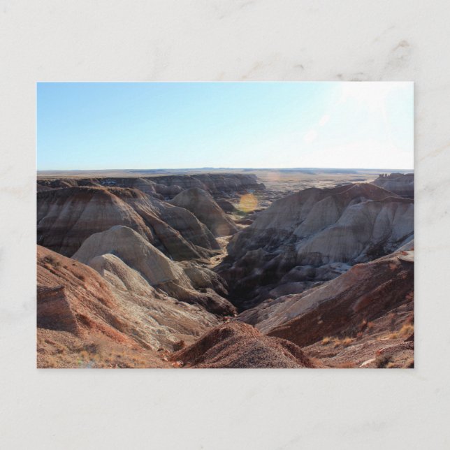 Postal Parque nacional de los bosques petrolíferos (Anverso)