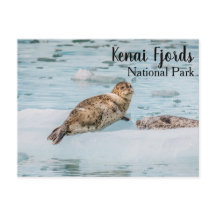 Parque nacional de los fiordos de Kenai