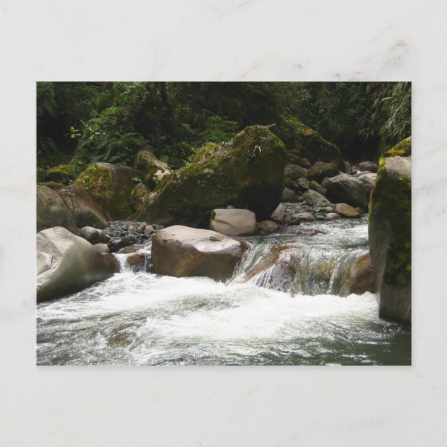 Postal Parque nacional de Manu (Anverso)