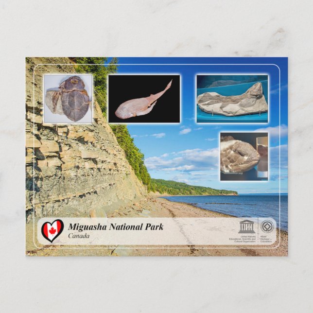 Postal Parque nacional de Miguasha (Anverso)