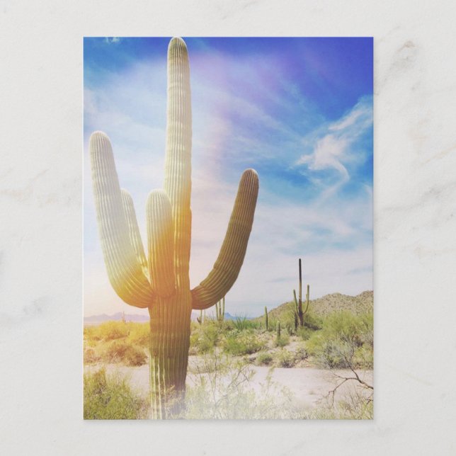 Postal Parque nacional de Saguaro (Anverso)