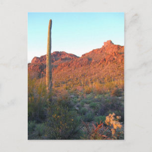 Postal parque nacional de saguaro