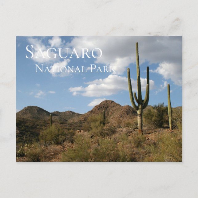 Postal Parque nacional de Saguaro (Anverso)