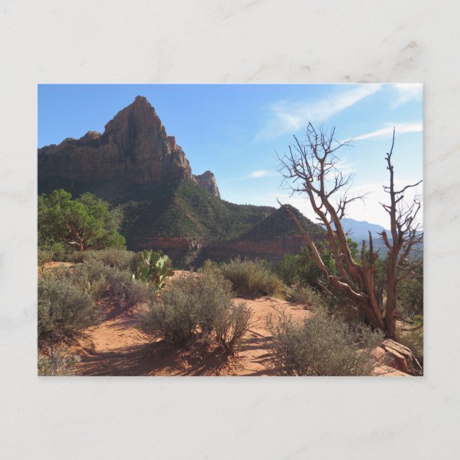 Postal Parque nacional de Zion (Anverso)