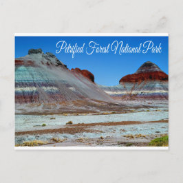 Postal Parque Nacional del Bosque Petrificado, Postcard d