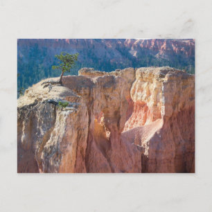 Postal Parque nacional del Cañón de Bryce