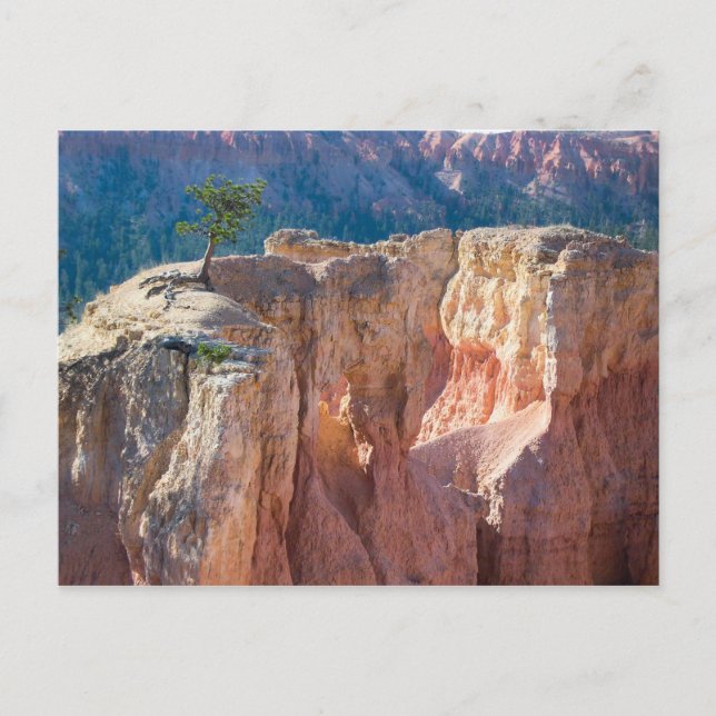 Postal Parque nacional del Cañón de Bryce (Anverso)