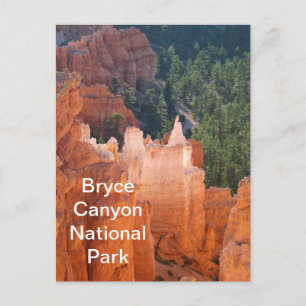 Postal Parque nacional del Cañón de Bryce Delicate Hoodoo