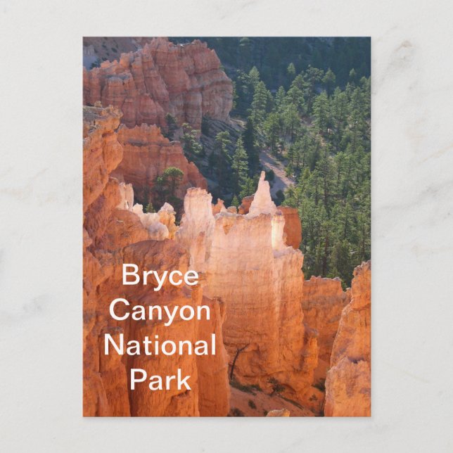 Postal Parque nacional del Cañón de Bryce Delicate Hoodoo (Anverso)
