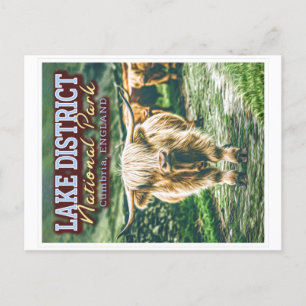 POSTAL PARQUE NACIONAL DEL DISTRITO LAGO - INGLATERRA DE
