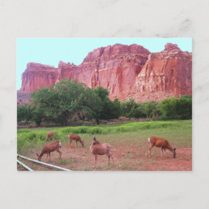 Postal Parque nacional del filón del capitolio, UT