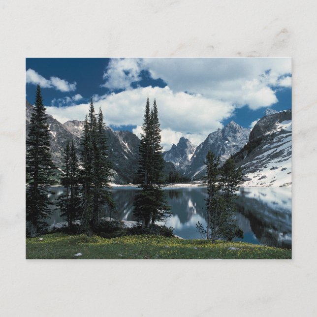 Postal Parque nacional del Gran Tetón, Wyoming (Anverso)