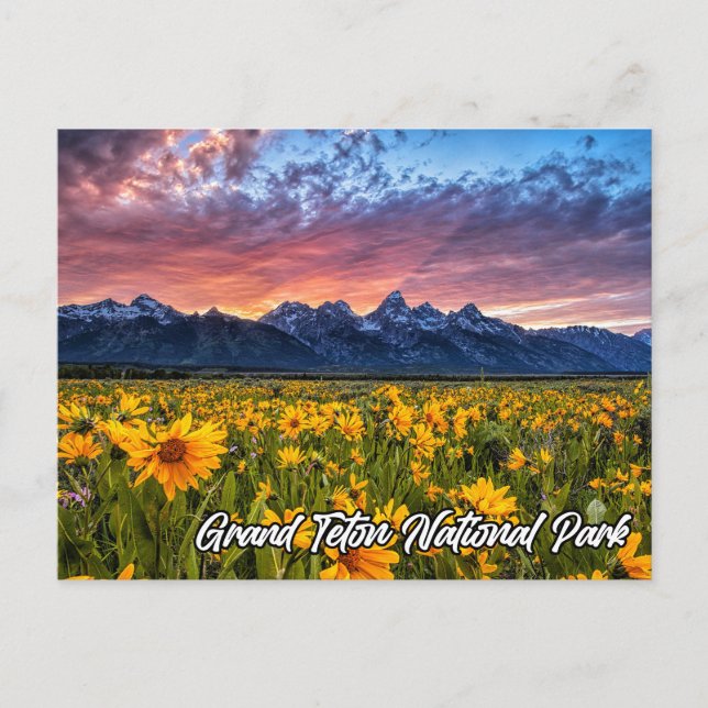 Postal Parque nacional del Gran Tetón, Wyoming (Anverso)