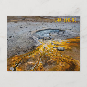 Postal Parque nacional Ear Spring Yellowstone