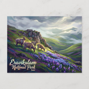 Postal Parque Nacional Eravikulam India