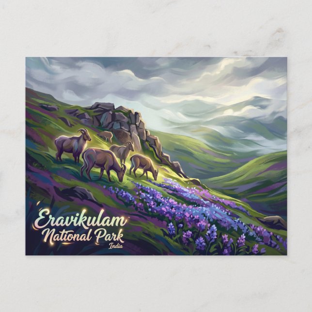 Postal Parque Nacional Eravikulam India (Anverso)