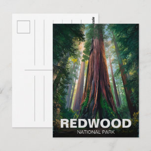 Postal Parque nacional estatal Redwood, California coster