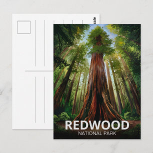 Postal Parque nacional estatal Redwood, California coster