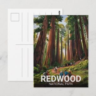 Postal Parque nacional estatal Redwood, California coster