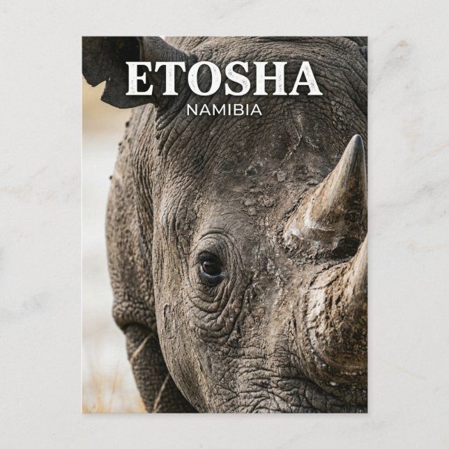 Postal Parque Nacional Etosha Namibia (Anverso)