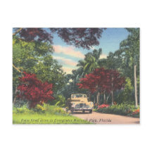 Parque nacional Everglades