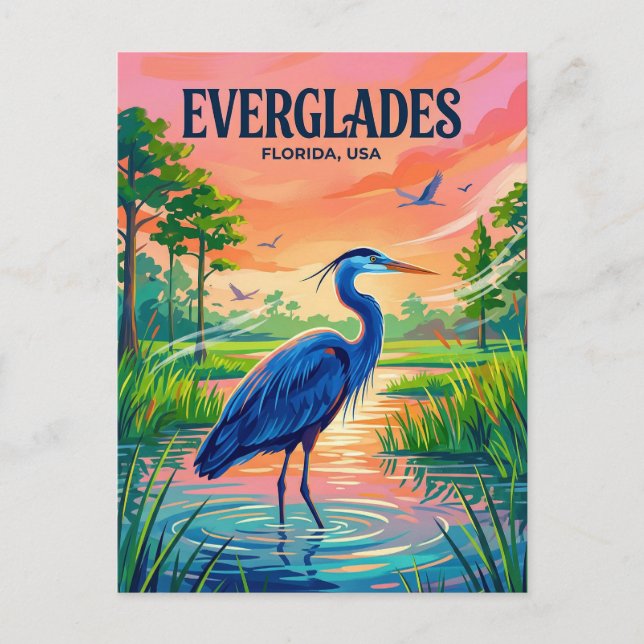 Postal Parque Nacional Everglades EE. UU. (Anverso)