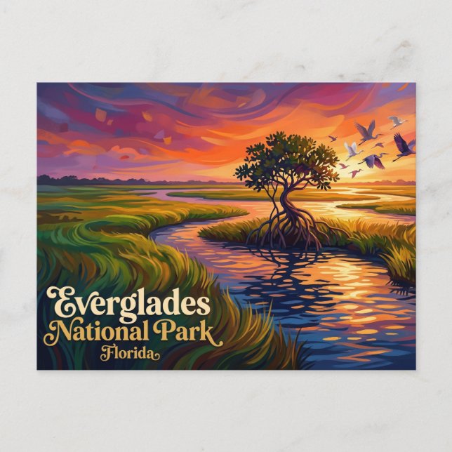 Postal Parque Nacional Everglades EE. UU. (Anverso)