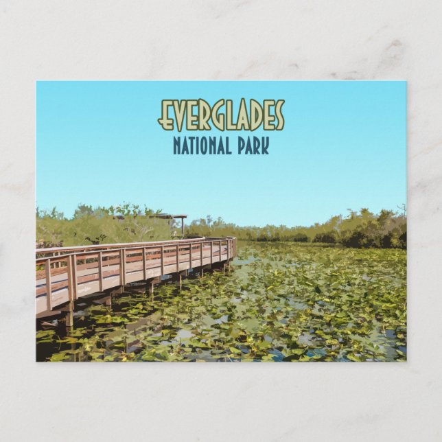 Postal Parque nacional Everglades Florida (Anverso)