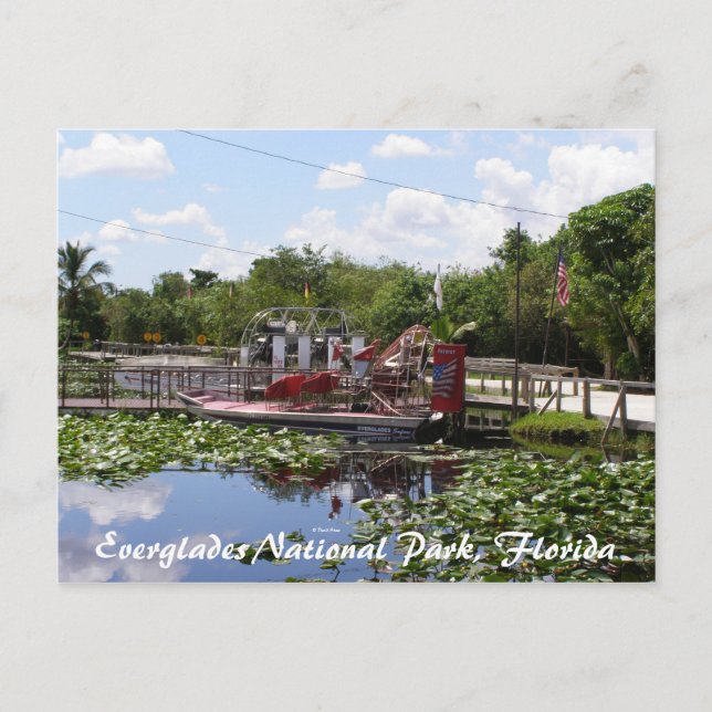 Postal Parque Nacional Everglades, Florida (Anverso)