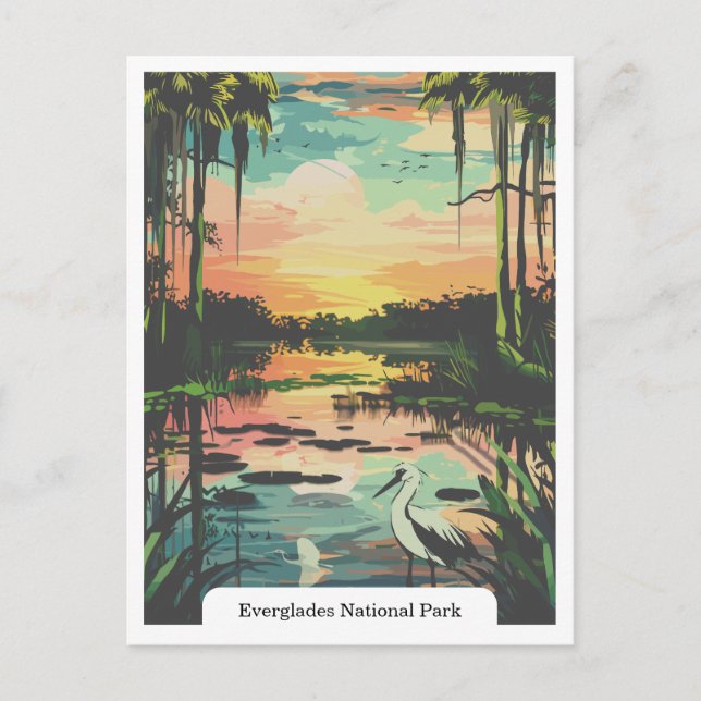 Postal Parque Nacional Everglades, Florida EE. UU. (Anverso)