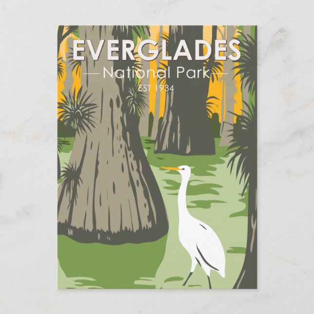 Postal Parque Nacional Everglades Florida Egret Vintage (Anverso)