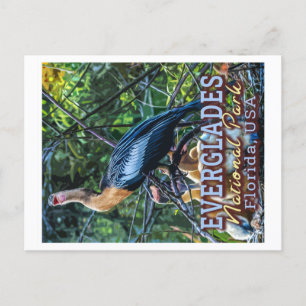 POSTAL PARQUE NACIONAL EVERGLADES - FLORIDA ESTADOS UNIDO