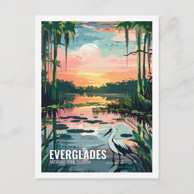Postal Parque nacional Everglades Florida Estados Unidos (Anverso)