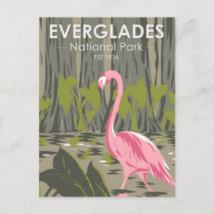 Postal Parque Nacional Everglades Florida Flamenco Vintag