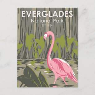 Postal Parque nacional Everglades Florida Flamingo Vintag