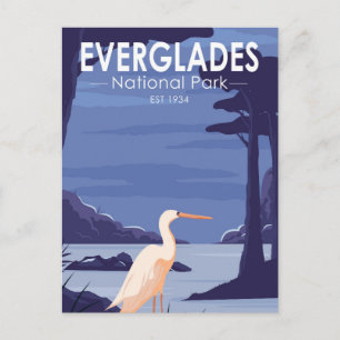 Postal Parque nacional Everglades Noche Egret Vintage